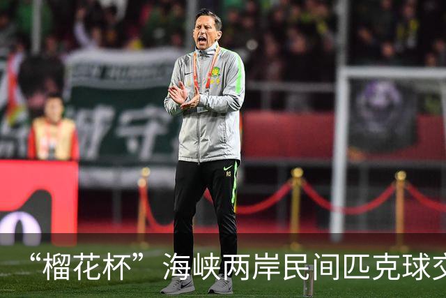 “榴花杯”海峡两岸民间匹克球交流赛在云南省玉溪开赛