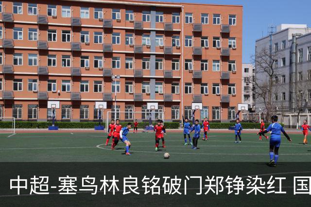 中超-塞鸟林良铭破门郑铮染红 国安2-0泰山取三连胜