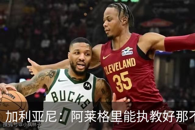 加利亚尼：阿莱格里能执教好那不勒斯，他会根据队内球员制定战术