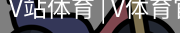 V体育